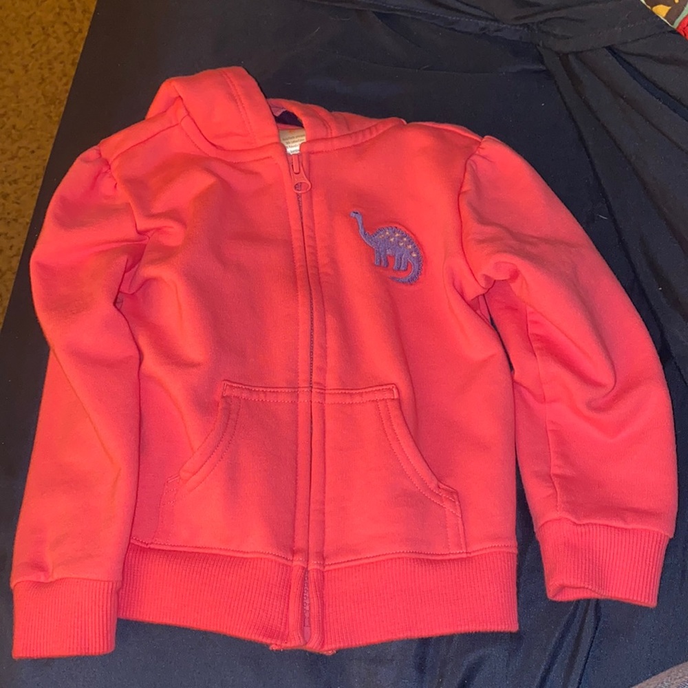 Dinosaur hoodie